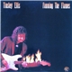 Tinsley Ellis - Fanning The Flames