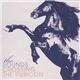 The Sounds - Crossing The Rubicon