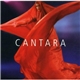 Cantara - Cantara